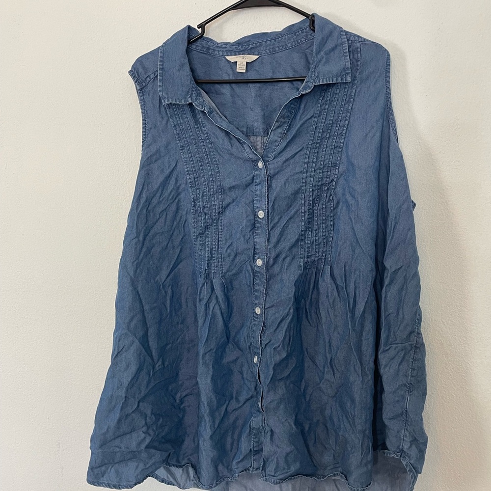 Terra & Sky Blue Sleeveless Button Down Shirt